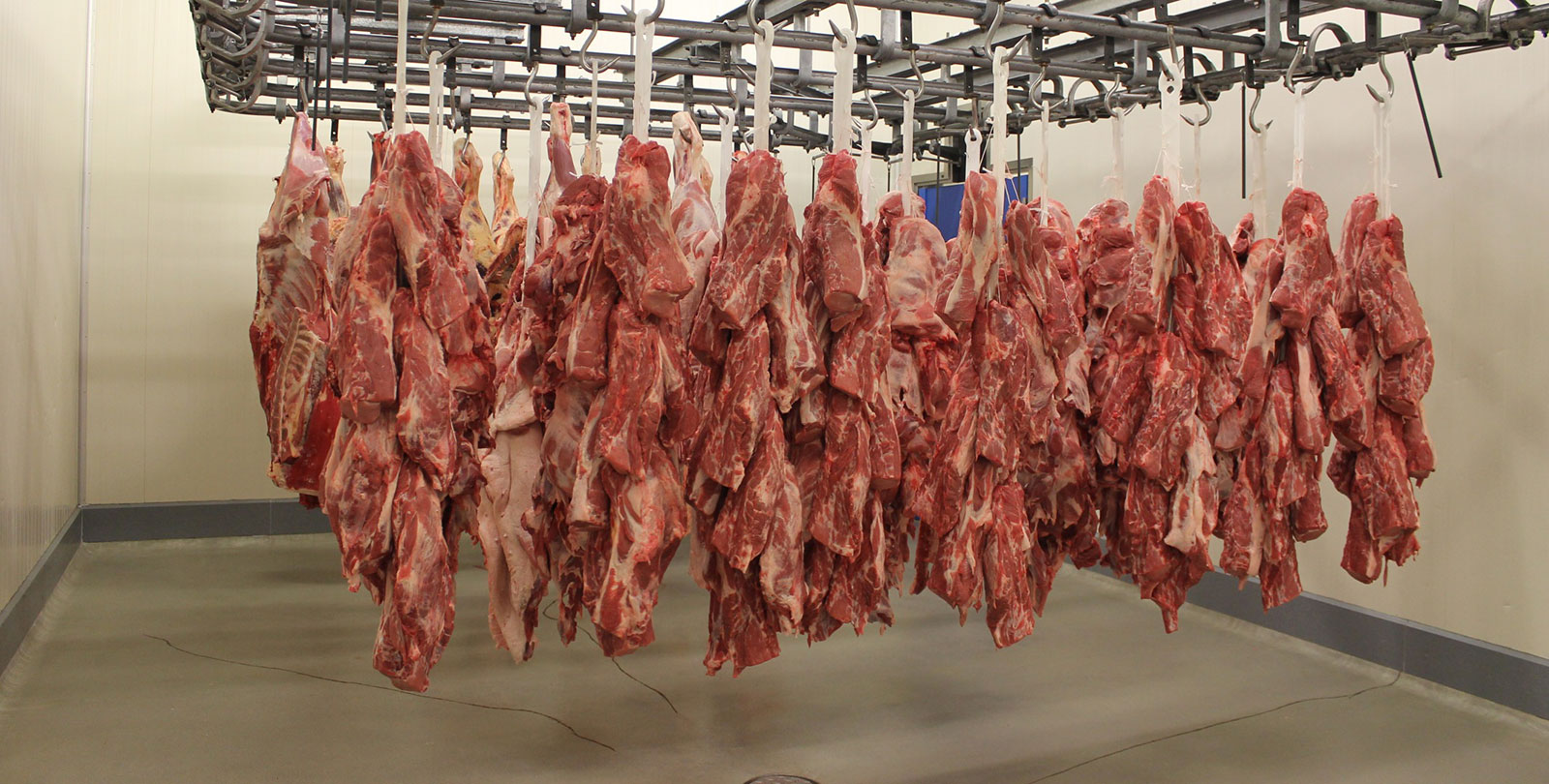 stage-fleisch-2